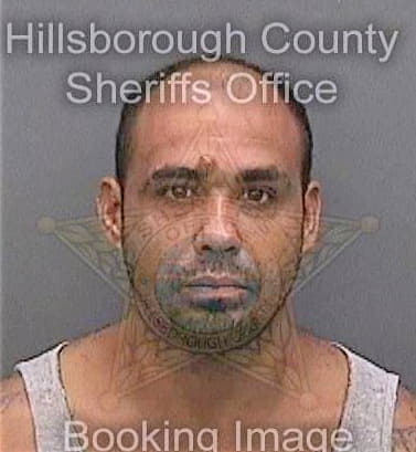 Vegavega William - Hillsborough County, FL 