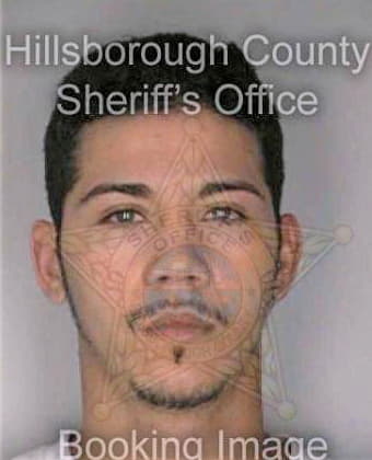 Diazrivera Fernando - Hillsborough County, FL 