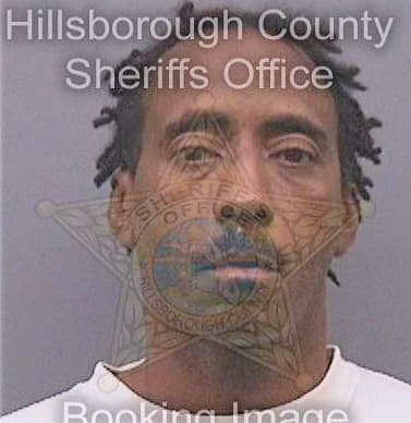 Mcnish Darwin - Hillsborough County, FL 