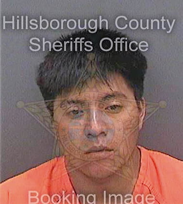 Perezjimenez Domingo - Hillsborough County, FL 