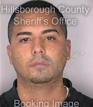 Medina Eddie - Hillsborough County, FL 