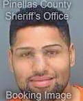 Garcia Lewis - Pinellas County, FL 