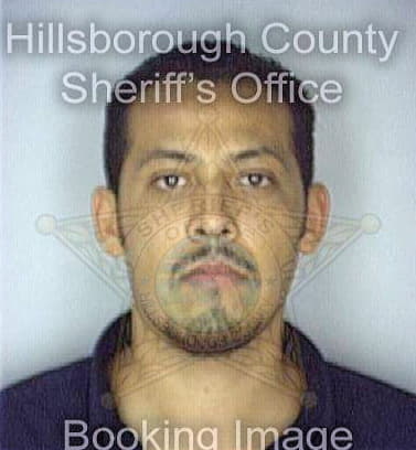 Ramirez Hugo - Hillsborough County, FL 