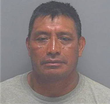 Miguel Miguel - Lee County, FL 