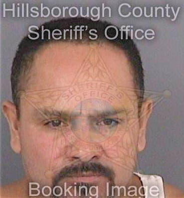 Jaramillo Vidal - Hillsborough County, FL 