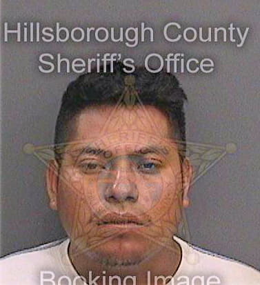 Lopezrojas Carlos - Hillsborough County, FL 