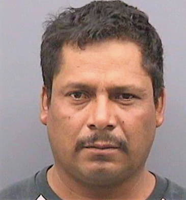 Colchadoceballos Servando - Hillsborough County, FL 