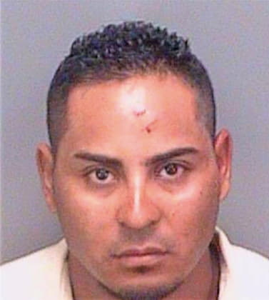 Gomezvasquez Yovanny - Pinellas County, FL 