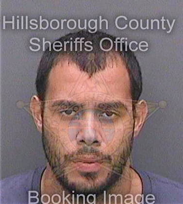 Lopez-Pinero Anthony - Hillsborough County, FL 