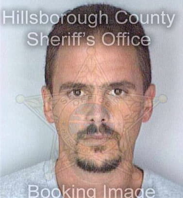 Mcquinn Harry - Hillsborough County, FL 