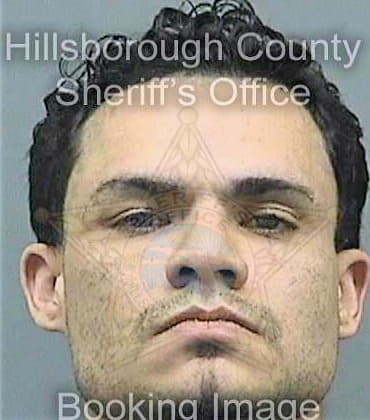 Marreropadillo Josue - Hillsborough County, FL 