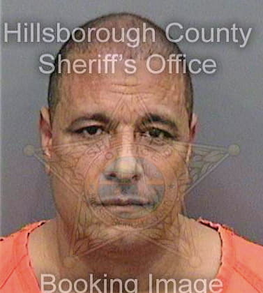 Diaz Carlos - Hillsborough County, FL 