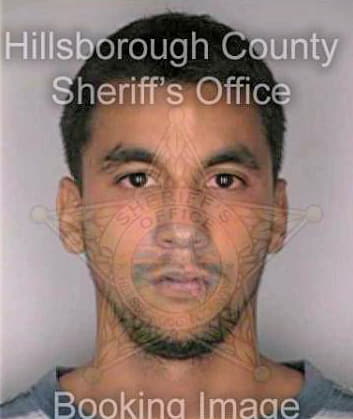 Santiago Anthony - Hillsborough County, FL 