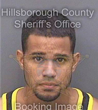 Mathis Brandon - Hillsborough County, FL 