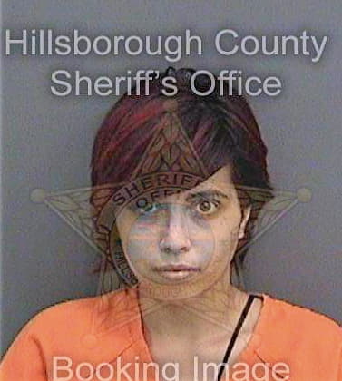 Carmenatemedina Yuliet - Hillsborough County, FL 