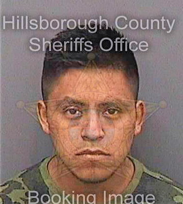 Jimenezhernandez Andres - Hillsborough County, FL 