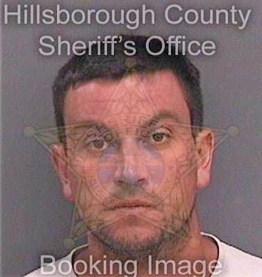 Santarelli Mikel - Hillsborough County, FL 