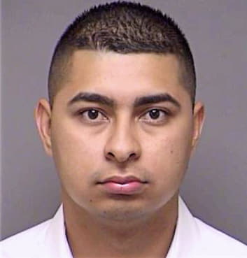 Hernandez Luis - Denton County, TX 