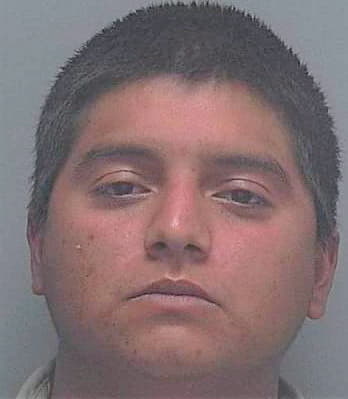 Hernandez Javier - Lee County, FL 