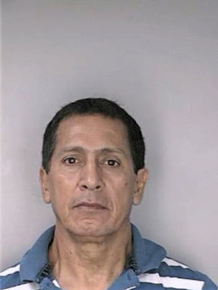 Pitasanchez Carlos - Hillsborough County, FL 