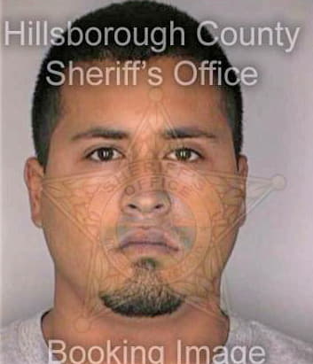 Villeda Daniel - Hillsborough County, FL 