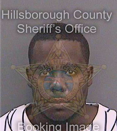 Johnson Jerome - Hillsborough County, FL 