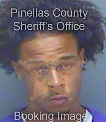 Davis Andrew - Pinellas County, FL 