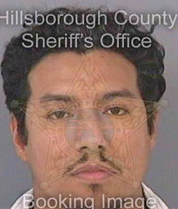 Sanchez Ismael - Hillsborough County, FL 