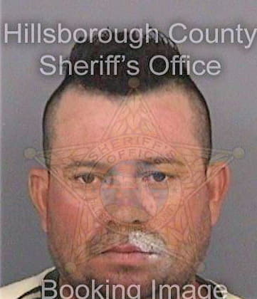 Mejia Carlos - Hillsborough County, FL 