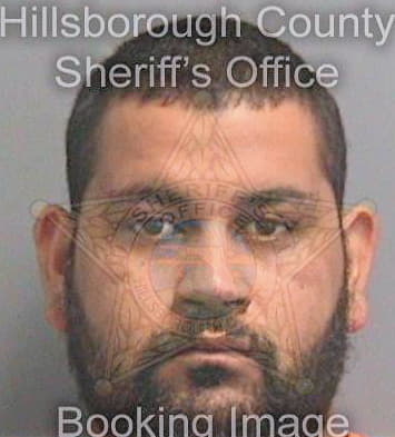 Gastonrivera Carlos - Hillsborough County, FL 