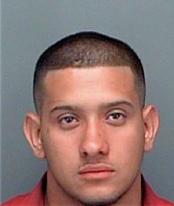 Moreno Josvany - Pinellas County, FL 