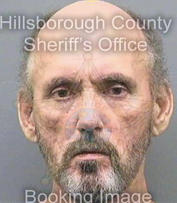 Hanlon Patrick - Hillsborough County, FL 