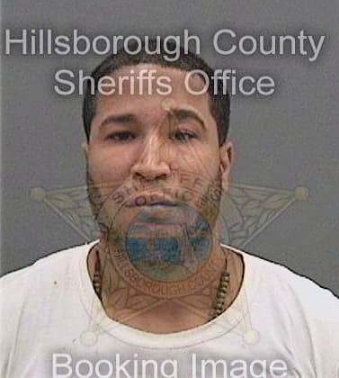 Lorenzoguzman Manuel - Hillsborough County, FL 