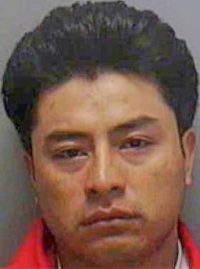 Hernandez Bulmaro - Lee County, FL 