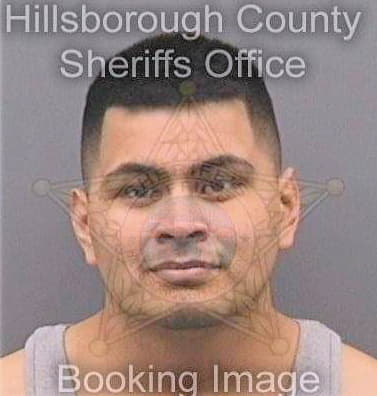 Galvan Miguel - Hillsborough County, FL 