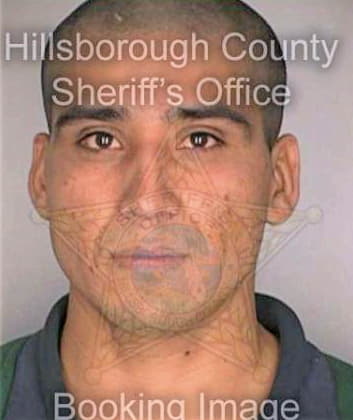 Ramirez Roberto - Hillsborough County, FL 