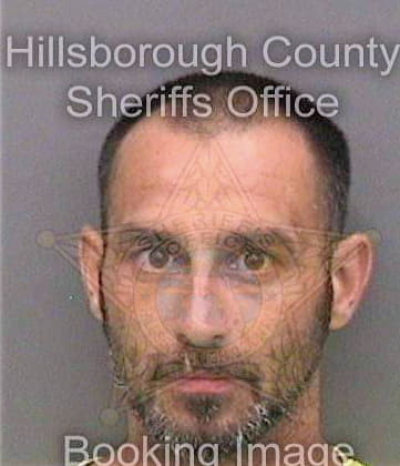 Thompson David - Hillsborough County, FL 