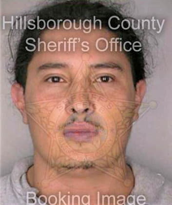 Gutierrez Andres - Hillsborough County, FL 