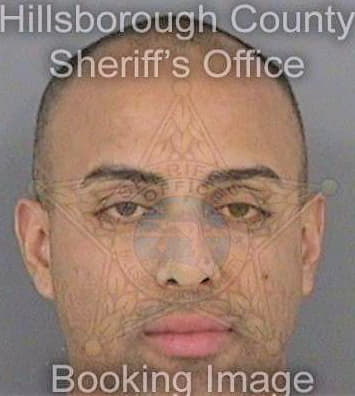 Gonzalezvazquez Carlos - Hillsborough County, FL 