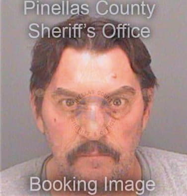 Steinbrink Charles - Pinellas County, FL 