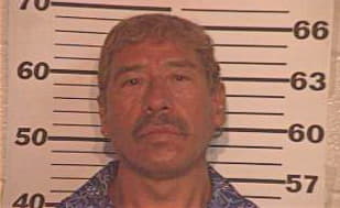 Hernandez Rogelio - Hidalgo County, TX 