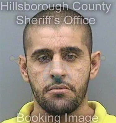 Odeh Nooreldean - Hillsborough County, FL 