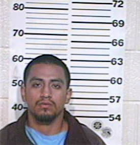 Dianas Ramon - Hidalgo County, TX 