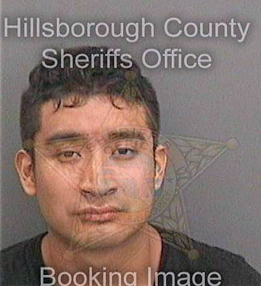 Diazperez Carlos - Hillsborough County, FL 