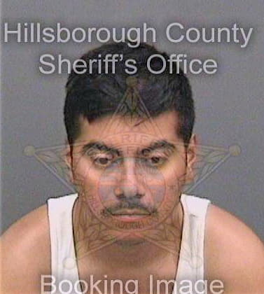 Perezperez Jesus - Hillsborough County, FL 