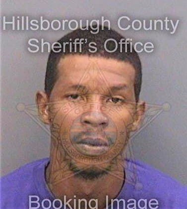 Dixon Domenic - Hillsborough County, FL 