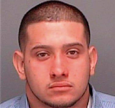 Moreno Josvany - Pinellas County, FL 