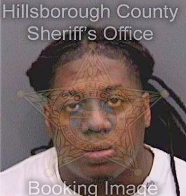Mcfadden Rogers - Hillsborough County, FL 