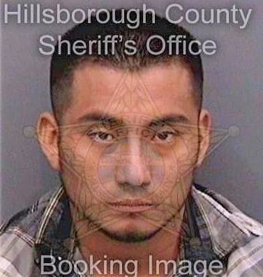 Lopezjimenez Mariano - Hillsborough County, FL 