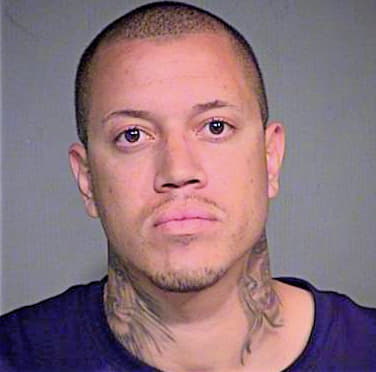 Dominic Nicholas - Maricopa County, AZ 